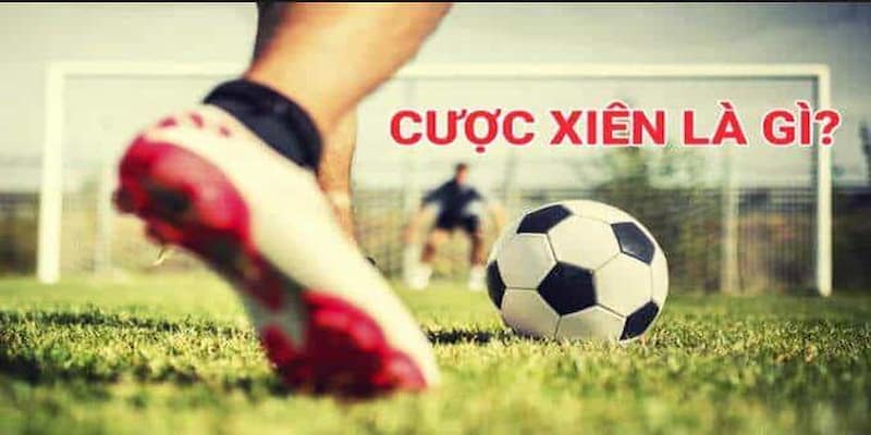 Cược xiên là gì Các loại cược xiên phổ biến và cách phân loại