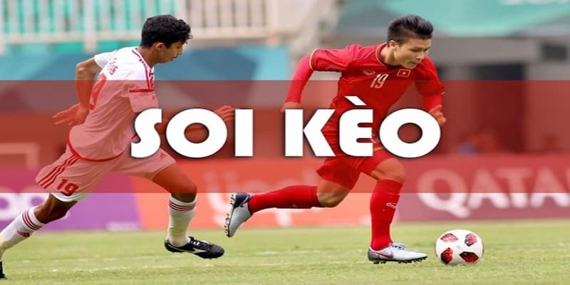 Cách đọc kèo bóng đá Các loại kèo bóng đá phổ biến và cách đọc