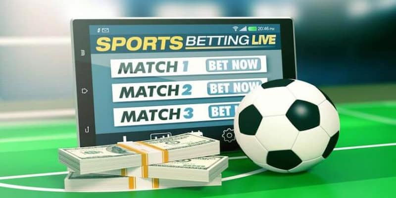 Odds trong bóng đá là gì Các loại odds phổ biến trong bóng đá hiện nay