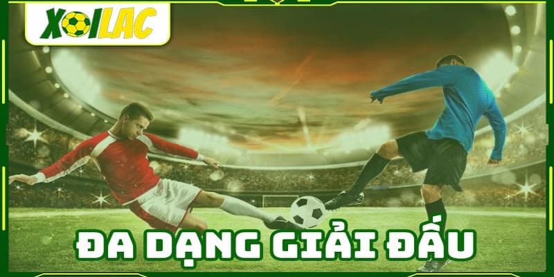 Xôi lạc tv Cách sử dụng xôi lạc tv hiệu quả để theo dõi các trận đấu