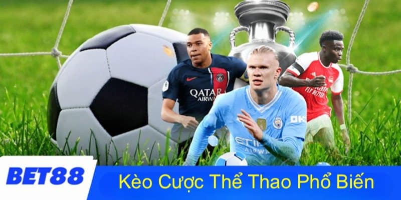 Giới thiệu tổng quan về kèo nhà cái bet88