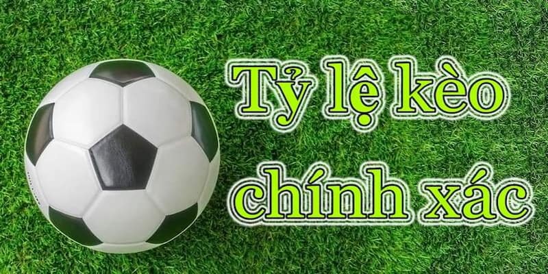 Cách đọc kèo bóng đá