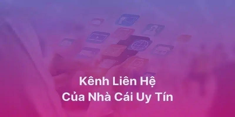 Tầm quan trọng của việc liên hệ trang kèo bóng đá