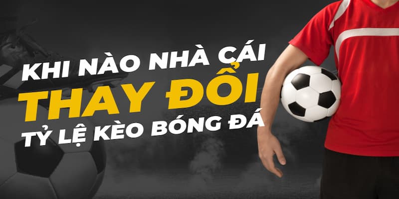 Phân tích lực lượng và tình hình đội bóng